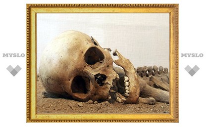 В лесу под Тулой нашли человеческий скелет