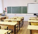 В 13 школьных классах Тульской области из-за гриппа приостановлен учебный процесс