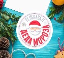 Телеканал Деда Мороза и «Интерактивное ТВ» от «Ростелекома» вновь помогут тулякам создать новогоднее настроение