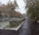 Тульские синоптики прогнозируют дождь со снегом на 22 октября