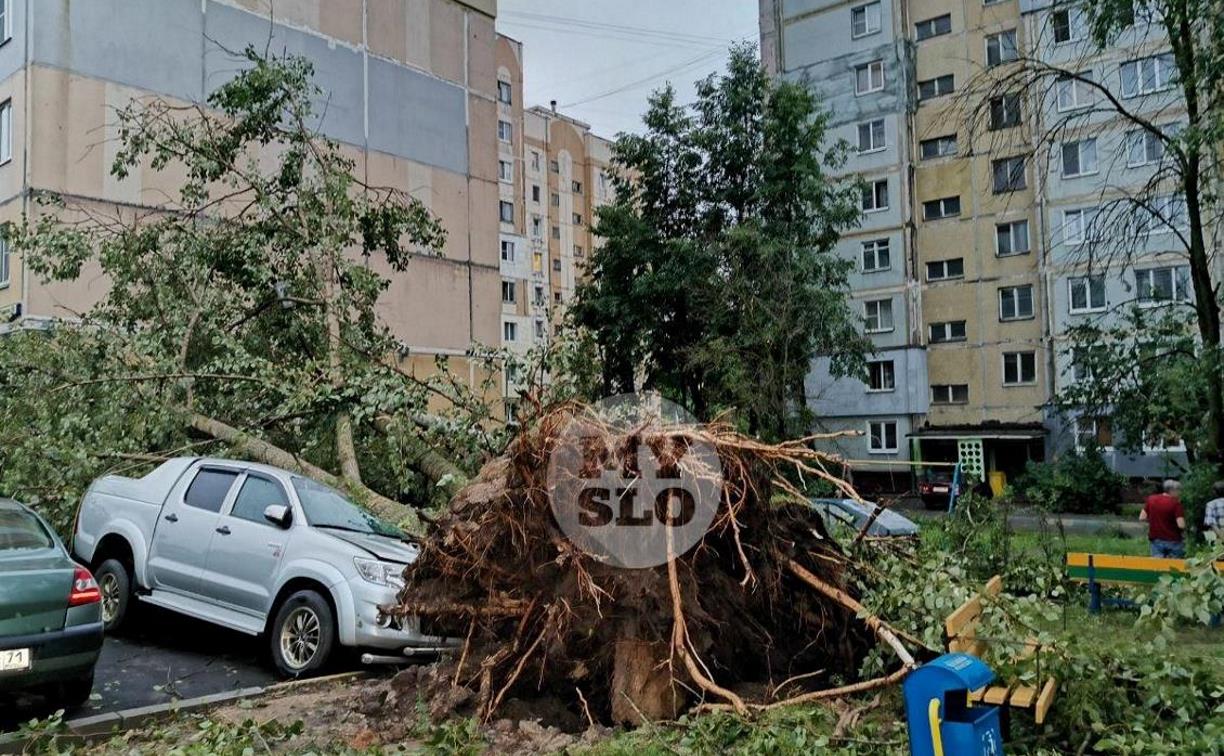В Тульской области из-за ураганного ветра пострадали 102 автомобиля