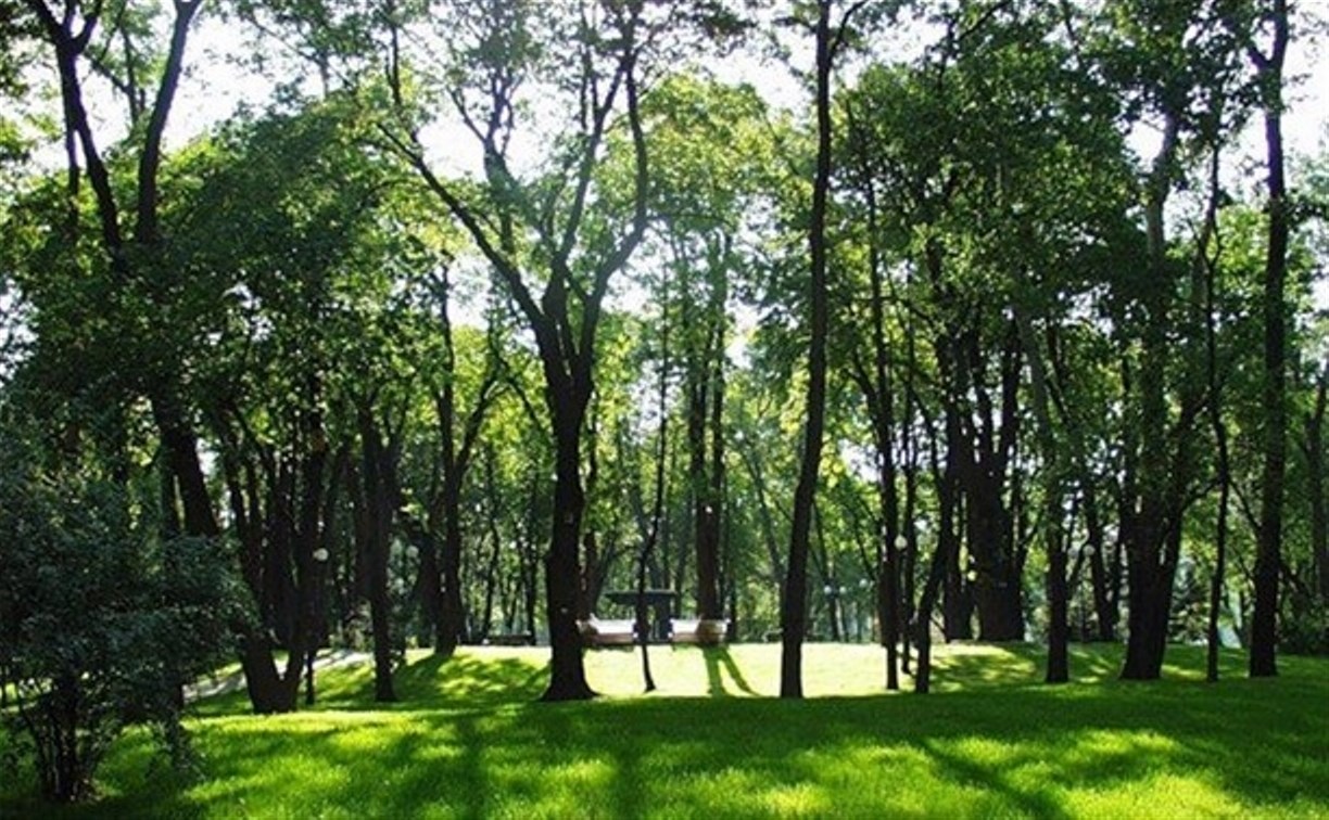 Парк «250-летию ТОЗа» переведут в ведомство «Тульских парков»