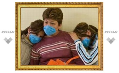 Свиной грипп убивает жителей соседних с Тулой регионов