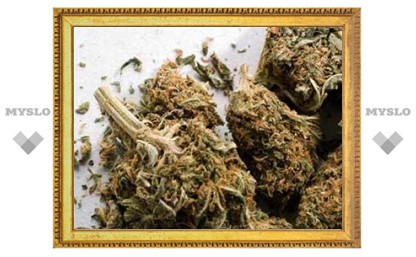 У двух алтайских милиционеров изъяли 1,8 килограмма марихуаны
