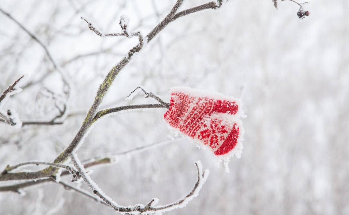 В ближайшие сутки в Тульской области резко похолодает до 23 градусов мороза