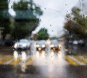 Погода в Туле 9 августа: дождь с грозой и низкое давление