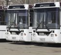 В администрации Тулы объяснили причину нехватки автобусов для жителей Северной Мызы
