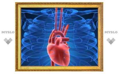 Сердце способно регенерировать клетки