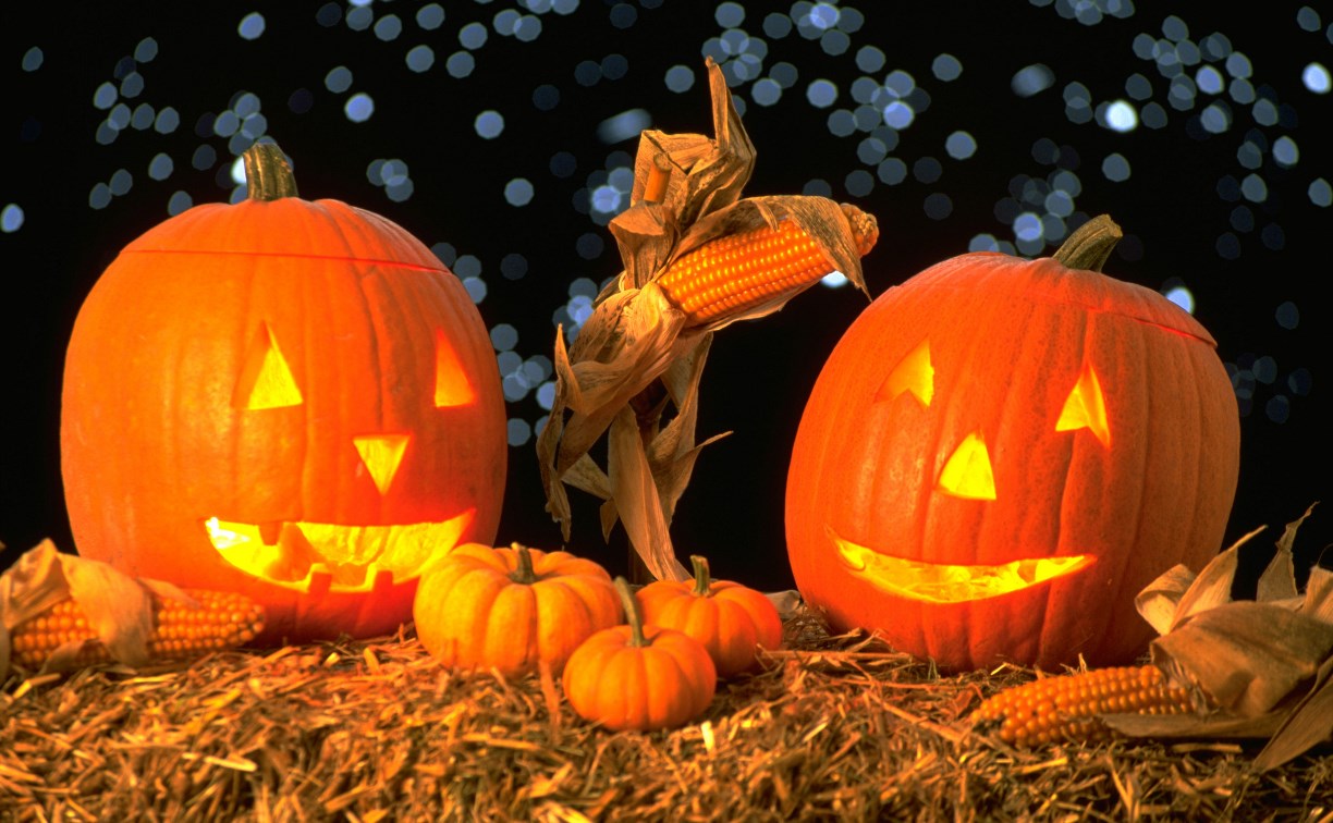 Законность празднования Хеллоуина проверит генпрокуратура