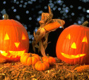 Законность празднования Хеллоуина проверит генпрокуратура