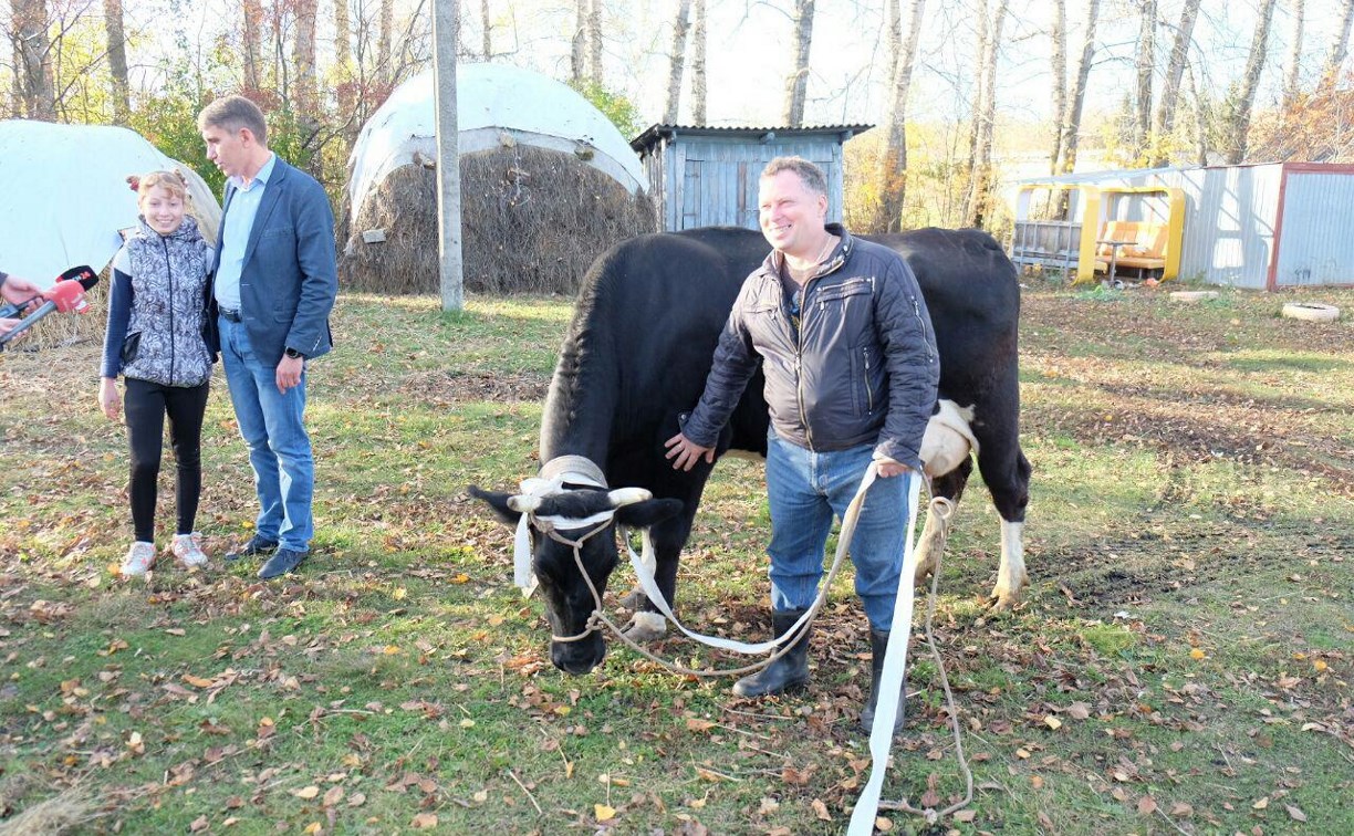 Семикласснице из Тепло-Огаревского района подарили корову
