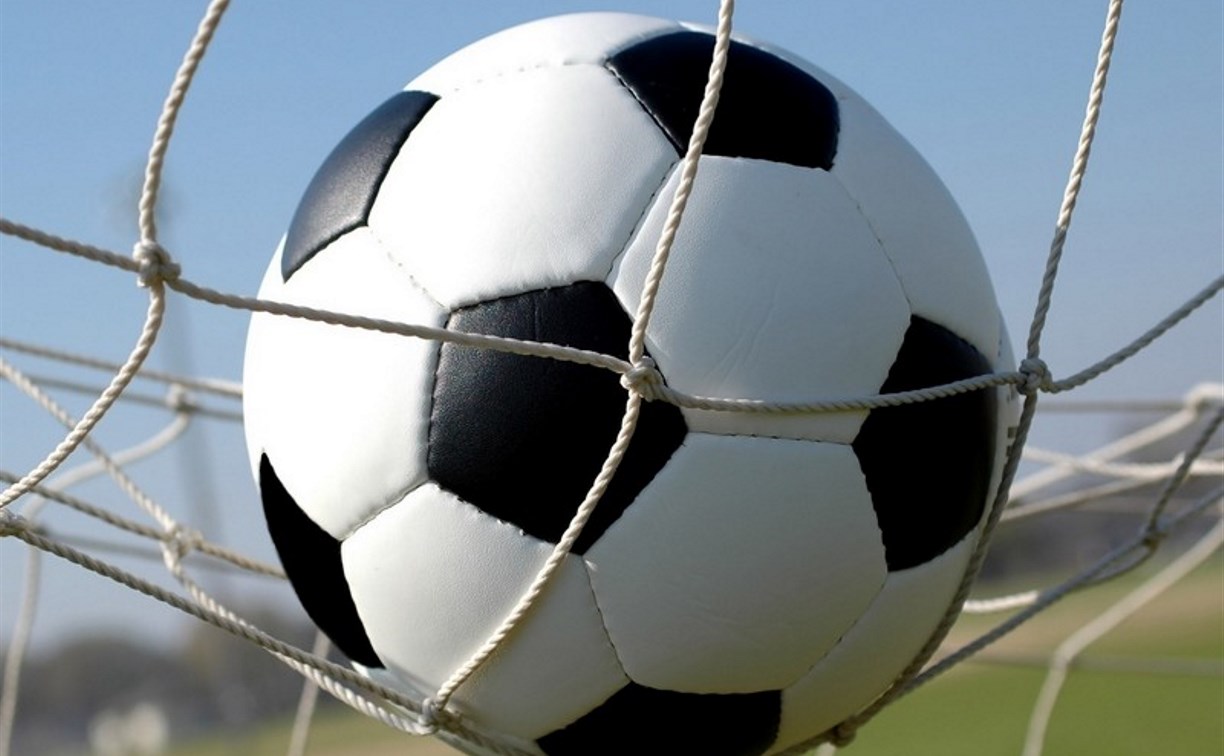 В Туле пройдут соревнования «Мини-футбол в школу»