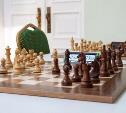 Хочешь стать успешным шахматистом? Запишись на занятия в Тульскую шахматную гостиную!
