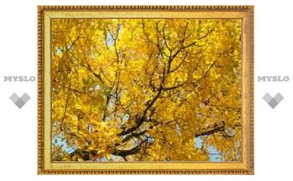Белоусовский парк приглашает на "Золотую осень"