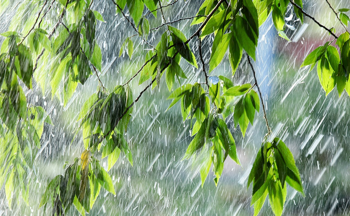Погода в Туле 31 августа: туман, дождь и грозы