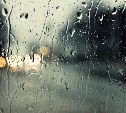 Погода в Туле 19 апреля: дождь, порывистый ветер и облачность