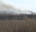 В Ефремове спасатели сутки боролись с масштабным пожаром на мусорном полигоне