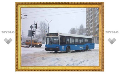 В Новогоднюю ночь в Туле будет работать общественный транспорт
