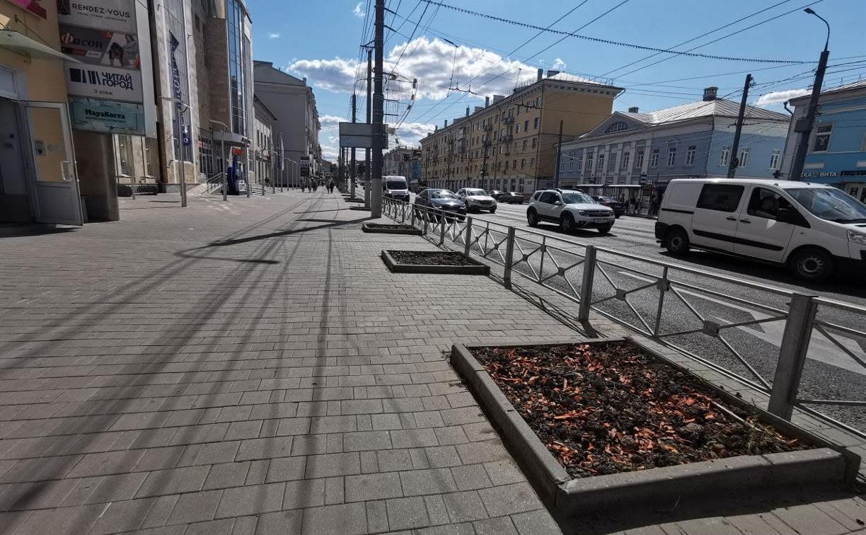 Туляки просят вернуть деревья на проспект Ленина