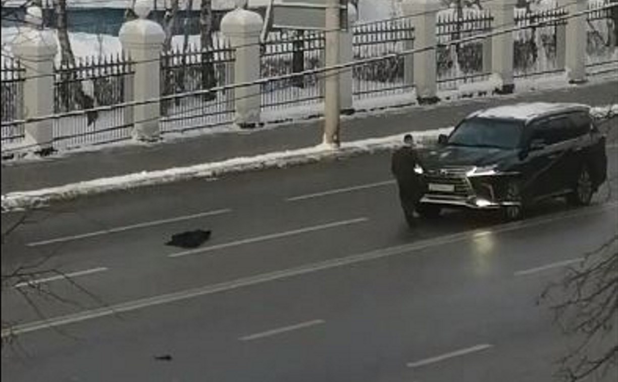 На улице Октябрьской в Туле неадекватный мужчина напал на внедорожник: видео