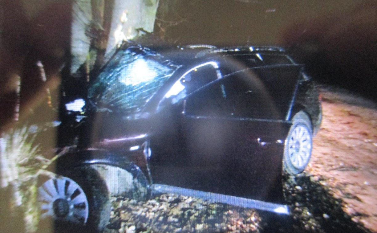 В Туле водитель Audi съехал с дороги и врезался в дерево