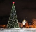 Тульская новогодняя ёлка будет стоить больше 7 млн рублей