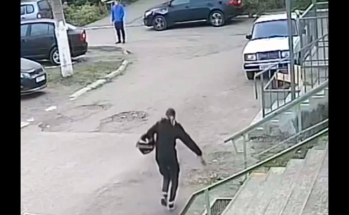 «Кража века»: жительница Ефремова подкралась к клумбе, сорвала цветы и убежала – видео