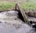 Власти Богородицка о «фекальном фонтане»: вышел из строя насос