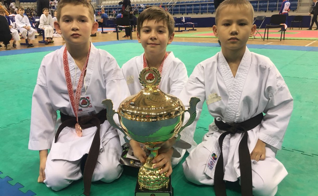 Юные каратисты из Щёкино завоевали Кубок мира