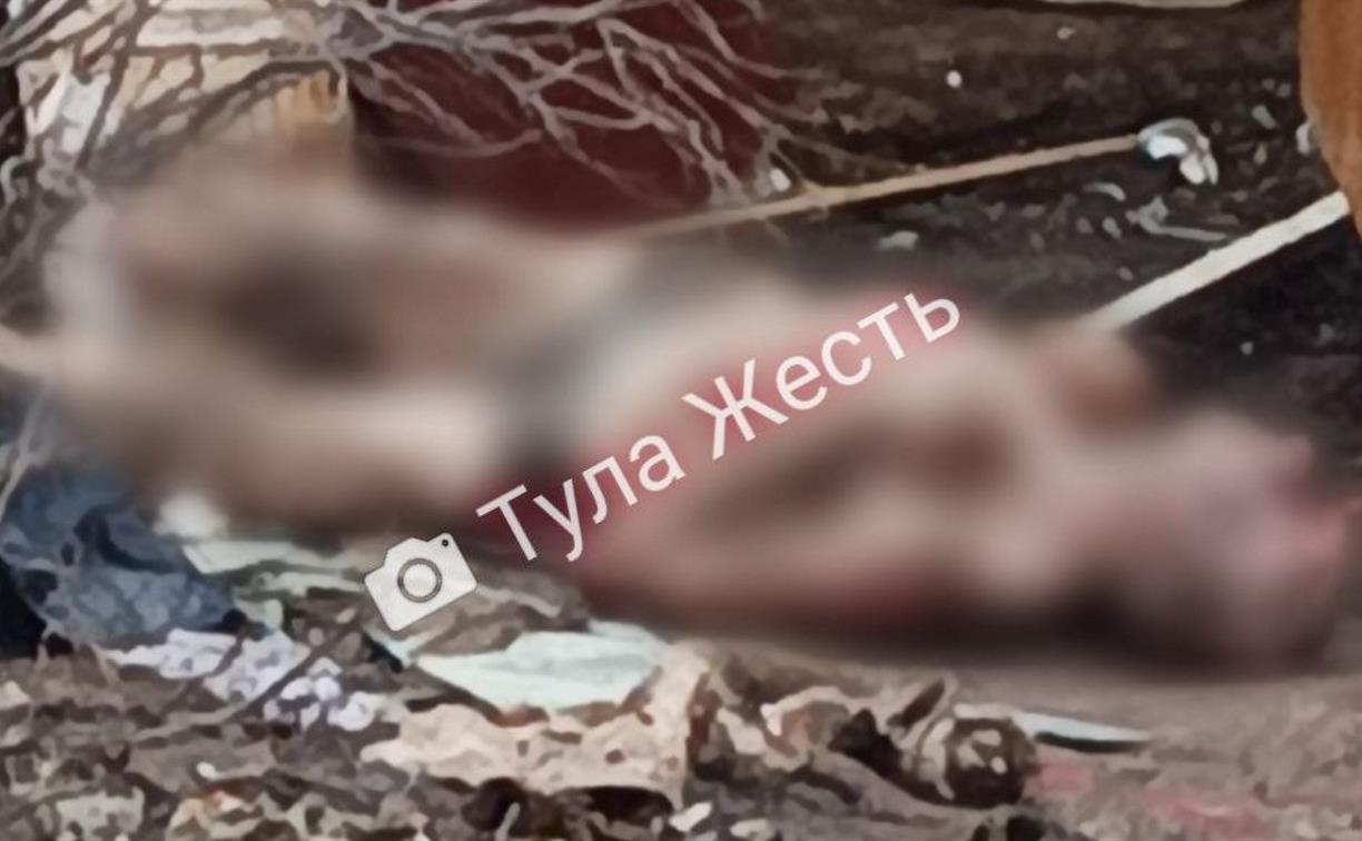 На улице Маргелова в Туле подростки нашли труп мужчины
