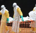 В аэропортах России начали проверять на вирус лихорадки Эбола
