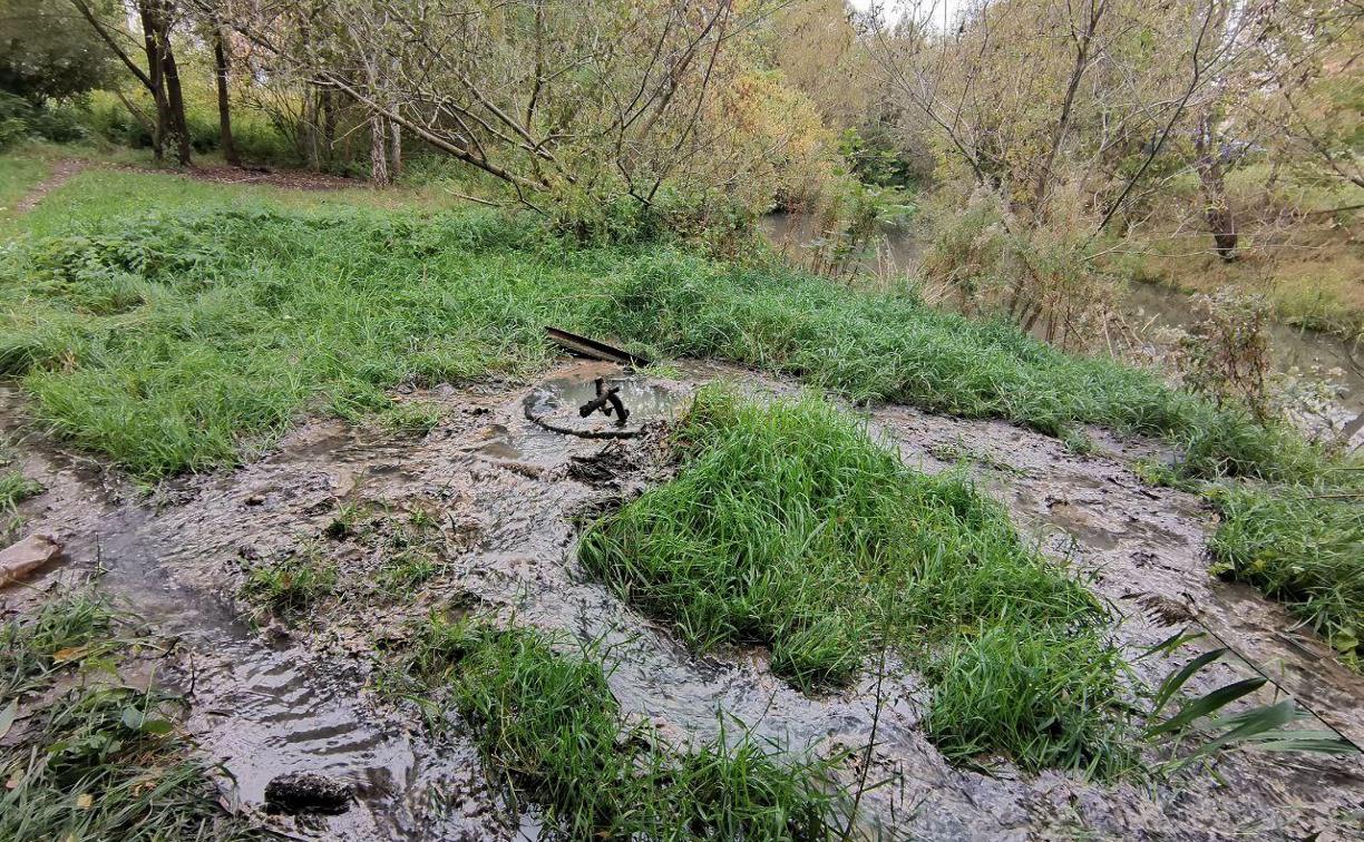 Не решенная годами проблема: в Туле на Зеленстрое вновь рекой течет канализация