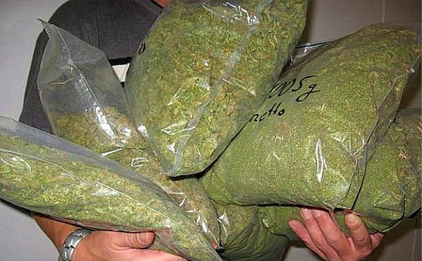 Цена 1 кг марихуаны семена конопляные купить россия