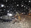В Ефремовском районе произошло смертельное ДТП с участием грузовика