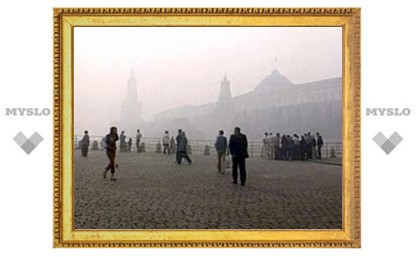 Мэрия Москвы оплатит оздоровление пострадавших от смога детей