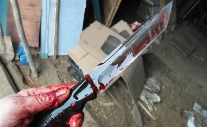 В Щекинском районе мать напала с ножом на родную дочь