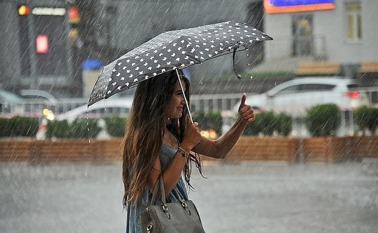 Погода в Туле 20 июня: дождь с грозой и до +30 градусов