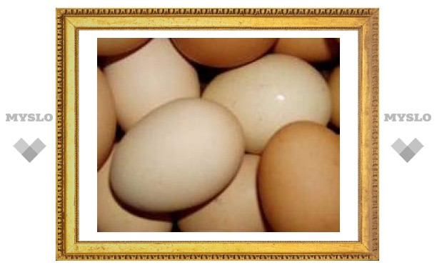 Яйцо тульское купить. Яйцо Тульское. Тульское яйцо фото.