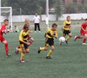 Юные футболисты «Арсенала» и «Химика» сыграли в Кубке «Черноземья»