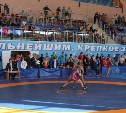 Тульские борцы привезли девять медалей с первенства спортивного общества «Юность России»
