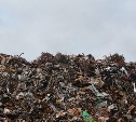 Власти Москвы определили регионы для вывоза столичного мусора
