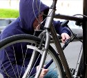 В Новомосковске велосипедного вора нашли по отпечаткам пальцев