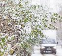 Уже в выходные в Центральной России синоптики прогнозируют первый снег