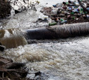 Из-за прорыва коллектора Мясново затопило канализационными стоками 