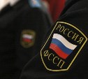 Житель Узловского района заплатит 1000 рублей за оскорбление судебного пристава