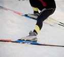 В Тульской области определены чемпионы в лыжных гонках