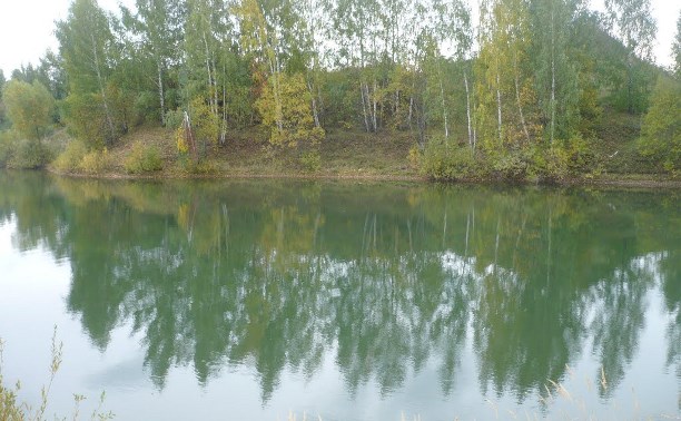 Никто в семье, утонувшей на карьере в Бегичевском, не умел плавать