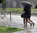 Погода в Туле 14 мая: дожди с грозами и до +25
