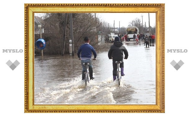 В Нижних Присадах Ленинского района все же есть затопленные паводком дома