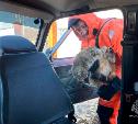 В Ефремове сотрудник МЧС помог женщине с котом выбраться из подтопленного дома